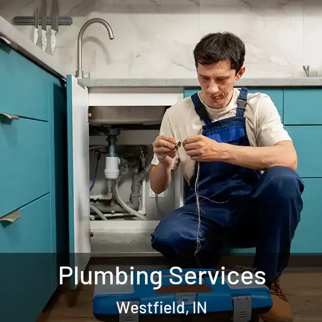 Plumbing Services Westfield, IN