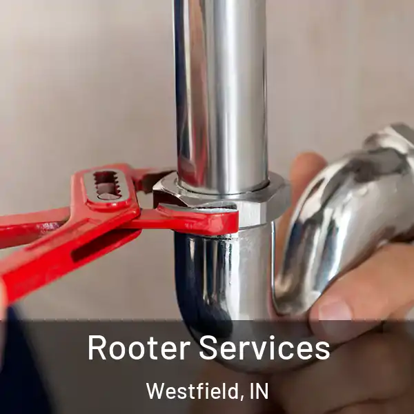  Rooter Services Westfield, IN