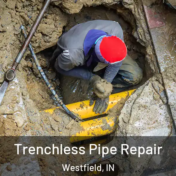  Trenchless Pipe Repair Westfield, IN